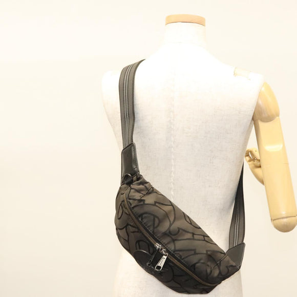 BURBERRY Waist Bag Canvas Gray Silver Auth bs26111