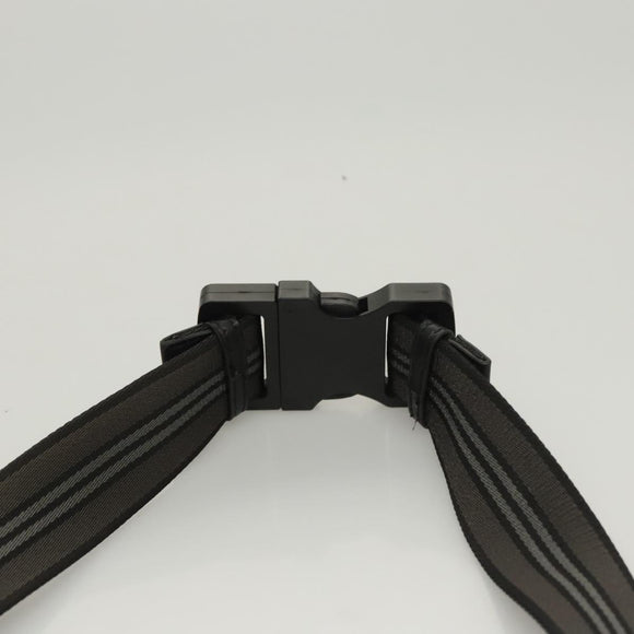 BURBERRY Waist Bag Canvas Gray Silver Auth bs26111