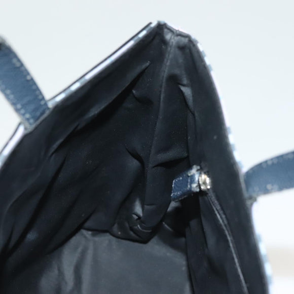 BURBERRY Nova Check Hand Bag Nylon Pink Silver Auth bs26692