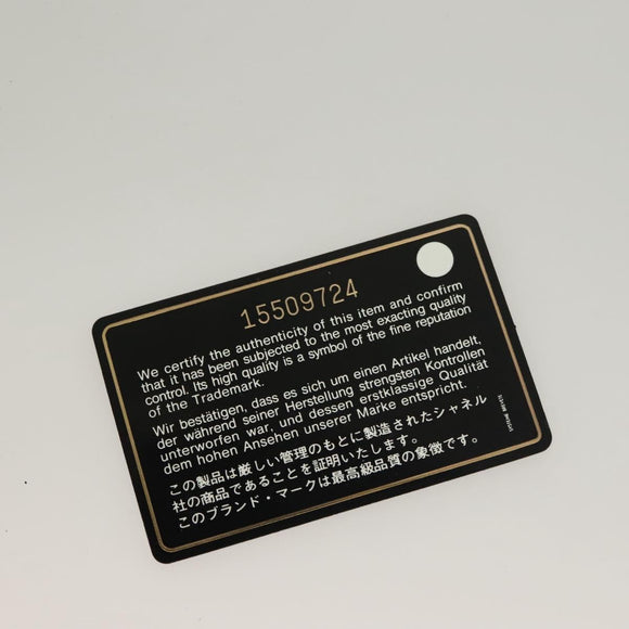 CHANEL Cococoon Tote Bag Nylon Gray Silver CC Auth bs26854