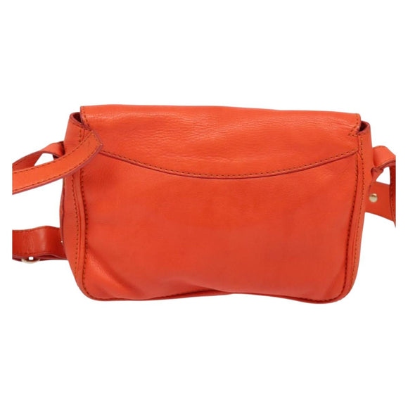 CELINE Shoulder Bag Leather Orange Gold Auth bs28303