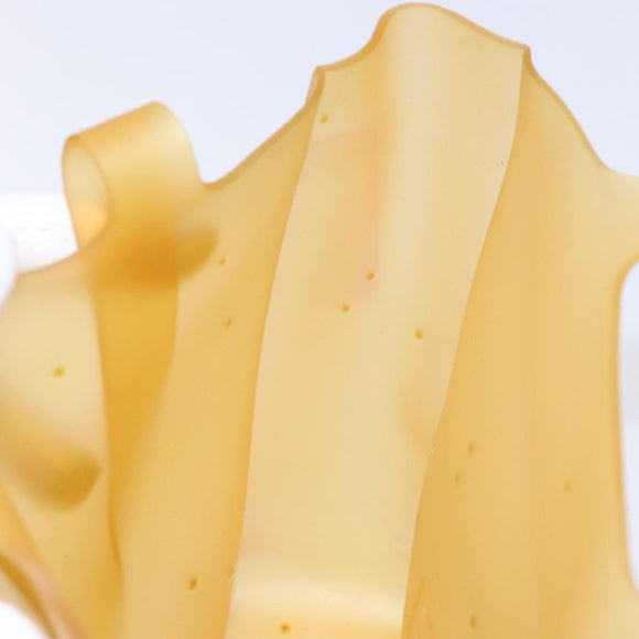 CHANEL Tote Bag Rubber Brown CC Auth bs28460