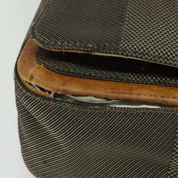 LOUIS VUITTON Damier Geant Messager Shoulder Bag Tail M93030 LV Auth bs28616