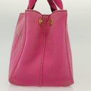 PRADA Canapa PM Hand Bag Canvas Pink Gold Auth bs28699-4