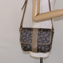 SAINT LAURENT Shoulder Bag PVC Leather Beige Gray Auth bs28744-23