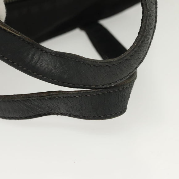 PRADA Hand Bag Nylon Leather Black Silver Auth bs28884