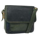 LOEWE Velazquez Shoulder Bag Leather Green Gold Auth bs28944-1