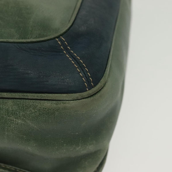 LOEWE Velazquez Shoulder Bag Leather Green Gold Auth bs28944