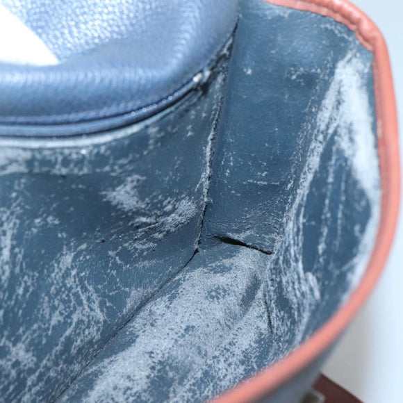 Burberrys Shoulder Bag Leather PVC Navy Gold Auth bs28989