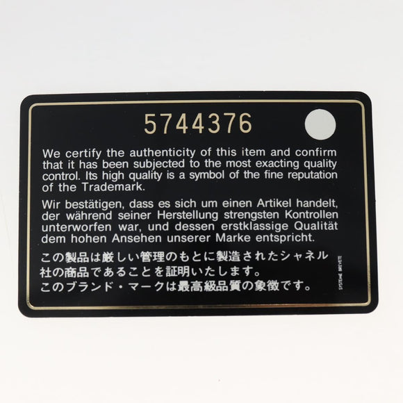 CHANEL Tote Bag Nylon Gray Silver CC Auth bs29478