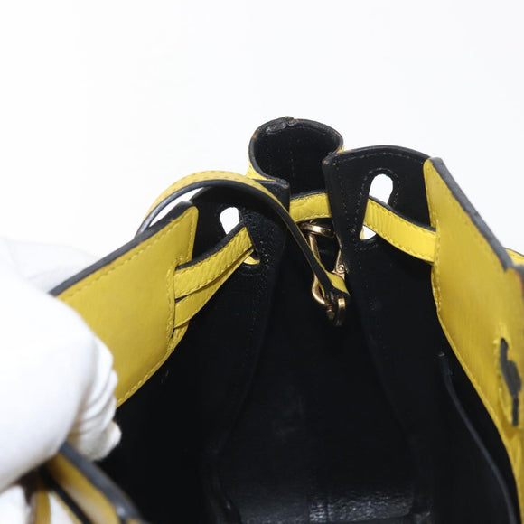 LOEWE Shoulder Bag Leather 2way Yellow Gold Auth bs29684