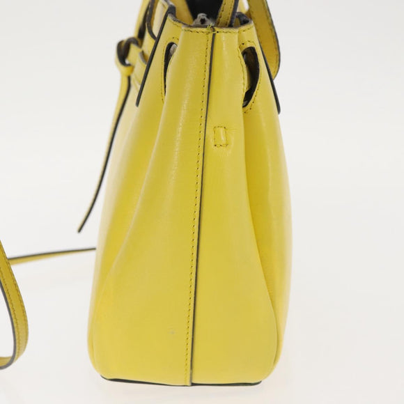 LOEWE Shoulder Bag Leather 2way Yellow Gold Auth bs29684