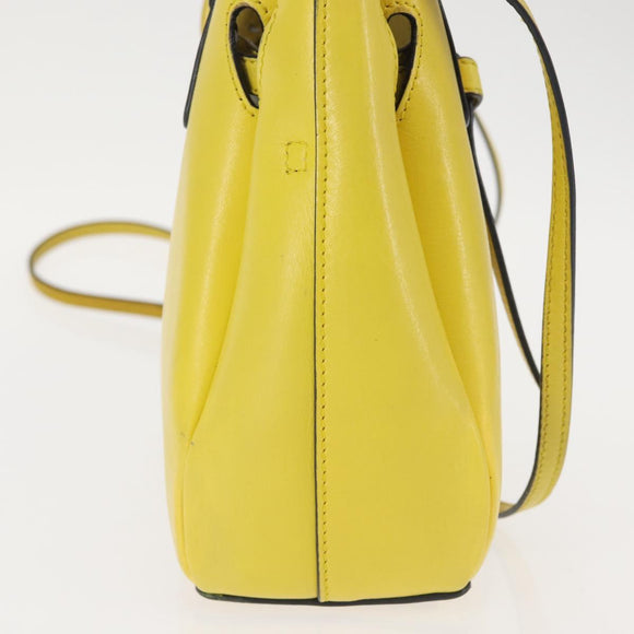 LOEWE Shoulder Bag Leather 2way Yellow Gold Auth bs29684