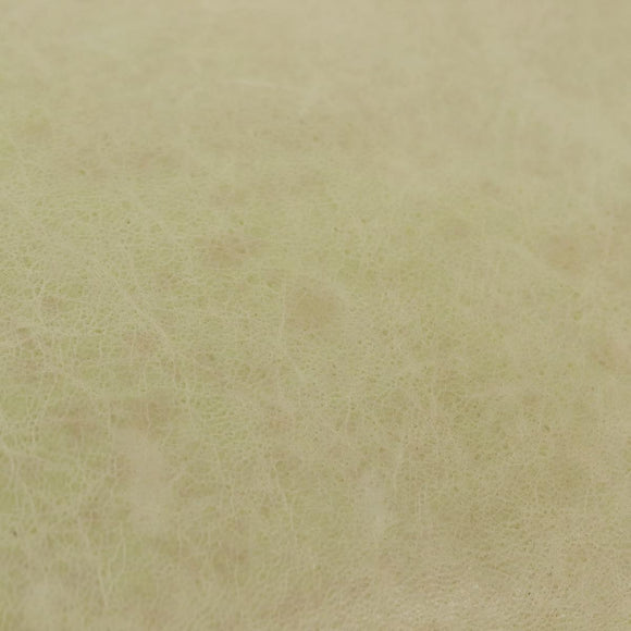 BALENCIAGA The Giant Envelope Bag Leather Silver Light Green 186182 Auth bs29813