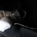 HERMES Toroca Horizontal PM Hand Bag Canvas Black Auth bs29932-12