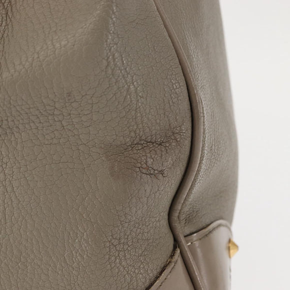 LOUIS VUITTON Suhari Majestu Hand Bag Gray M95652 LV Auth bs29987