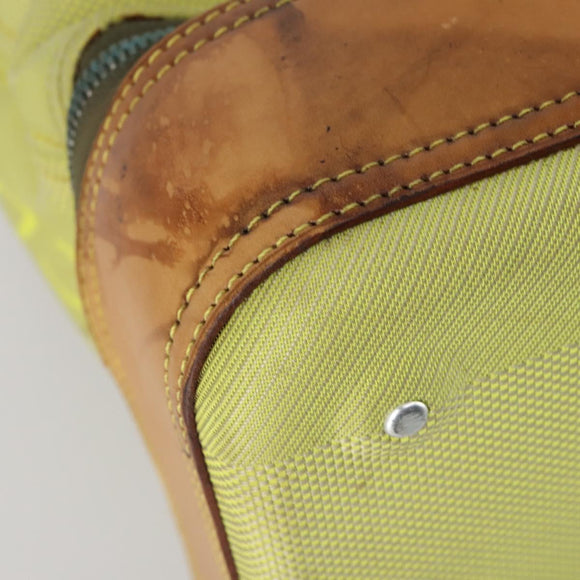 LOUIS VUITTON Damier Geant Southern Cross Bag Canvas Yellow M80631 Auth bs30009