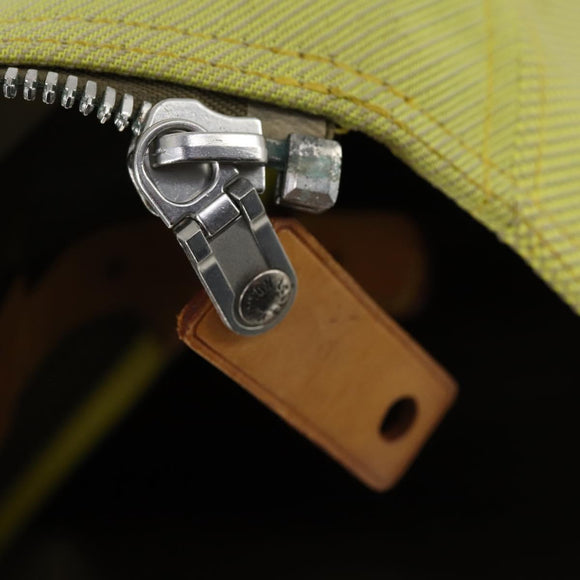 LOUIS VUITTON Damier Geant Southern Cross Bag Canvas Yellow M80631 Auth bs30009