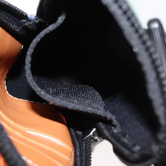 LOEWE Nature Shoulder Bag Canvas Multicolor Silver Auth bs30021