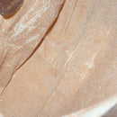 GUCCI Shoulder Bag Leather Enamel 5Set Brown Black Auth bs30027-6