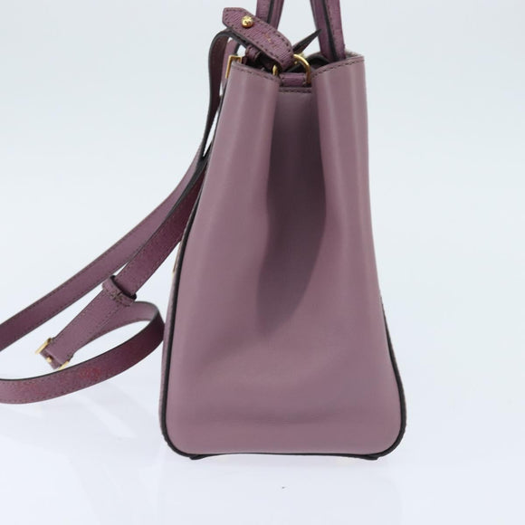 FENDI PETITE 2JOURS Handtas Leer Paars Goud Auth bs30463