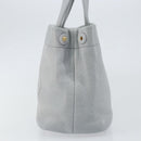 PRADA Small Tote Bag Punching leather Gray Gold Auth bs30580-5