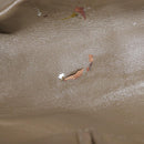 BVLGARI Tote Bag Leather Champagne Gold Auth bs30583-11