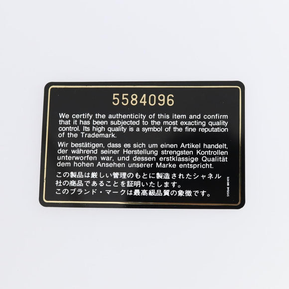 CHANEL Travel line Garment Cover Nylon Black CC Auth bs30653