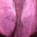 VALENTINO Hand Bag Leather Suede 3 Set Red Brown Auth bs30849-24