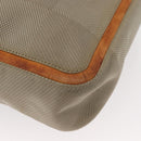 LOUIS VUITTON Damier Geant Compignon Messenger Bag Gray M93046 LV Auth bs31309-17