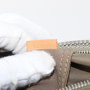 LOUIS VUITTON Damier Geant Compignon Messenger Bag Gray M93046 LV Auth bs31309-12