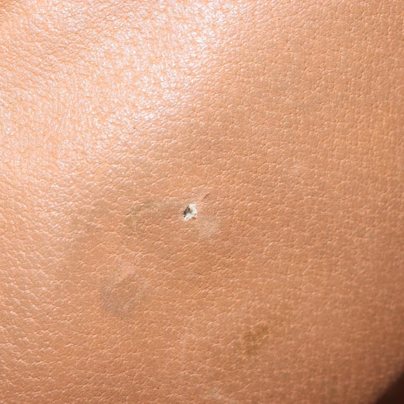 CELINE Macadam Canvas Tote Bag PVC Leather Brown Gold Auth bs31514