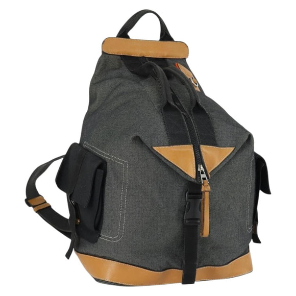 LOEWE Eye Nature Convertible Backpack Canvas Leather Gray Silver Auth bs31537