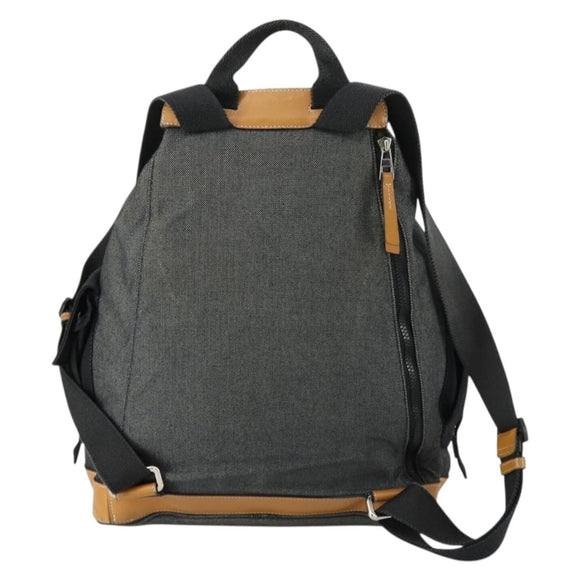 LOEWE Eye Nature Convertible Backpack Canvas Leather Gray Silver Auth bs31537