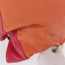 LOEWE Nappa Aire Anagram Hand Bag Leather Orange Auth bs31653-9