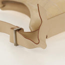 Salvatore Ferragamo Shoulder Bag Nylon Leather Beige Silver Auth bs31655-11