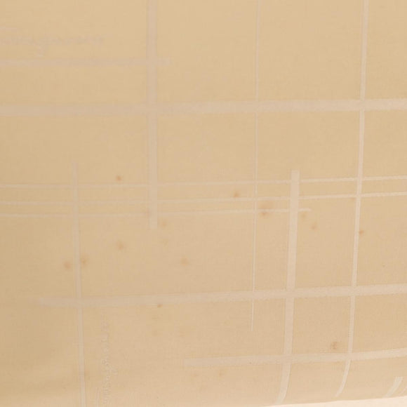 Salvatore Ferragamo Shoulder Bag Nylon Leather Beige Silver Auth bs31655