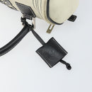 LOEWE Amazonas Hand Bag Leather White Silver Auth bs32121-15