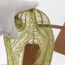 Christian Dior Hand Bag Nylon Green Auth bs32316-18