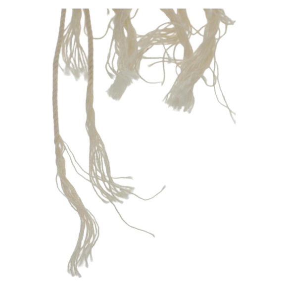 LOEWE Earring Canvas White Silver Auth bs32653V