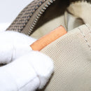 LOUIS VUITTON Damier Geant Sitadan Shoulder Bag Beige Sabre M93041 Auth bs32755-12