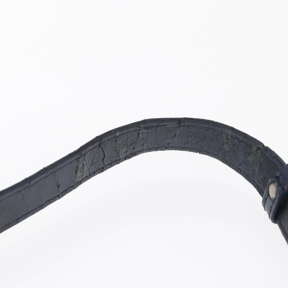 LOEWE Shoulder Bag Leather Blue Auth bs32882