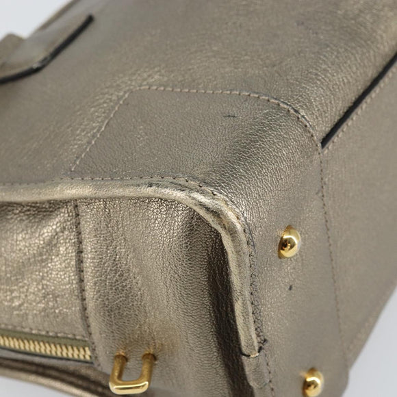 LOEWE Amazonas Hand Bag Leather Gold Tone Auth bs33234