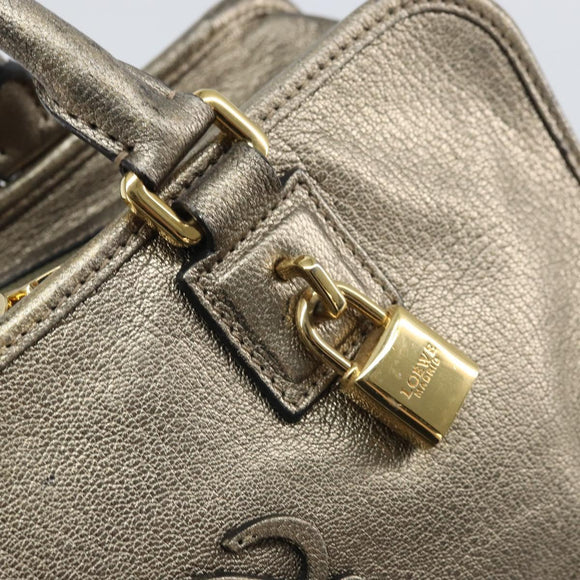 LOEWE Amazonas Hand Bag Leather Gold Tone Auth bs33234