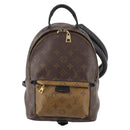 LOUIS VUITTON Monogram Reverse Palm Springs PM Rugzak M43116 LV Auth bs33266-13