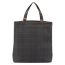 BURBERRY Nova Check Hand Bag PVC Brown Silver Auth bs33672-3
