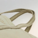 PRADA Hand Bag Nylon Beige Silver Auth bs34100-8