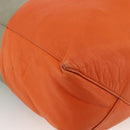 CELINE Hand Bag Leather Beige Gold Auth bs34104-11