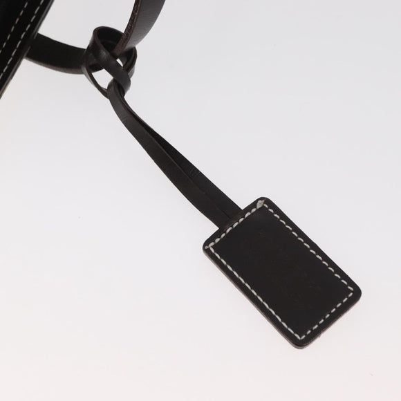 BURBERRY Nova Check Blue Label Hand Bag Nylon Beige Silver Auth bs34396