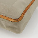 LOUIS VUITTON Damier Geant Compignon Messenger Bag Gray M93046 LV Auth bs34434-16